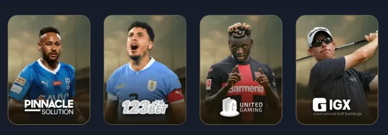 Exciting sports betting interface on TOTOOWIN online casino platform